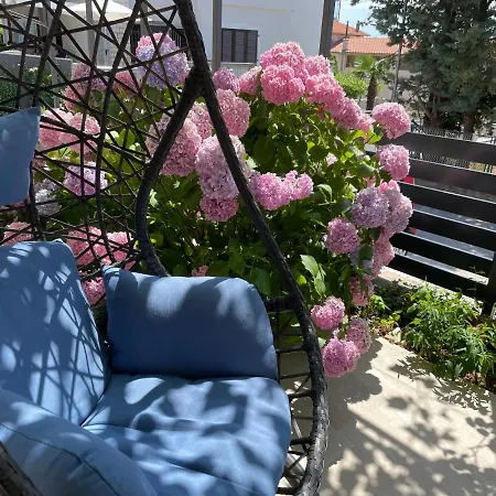 Mediterra 1